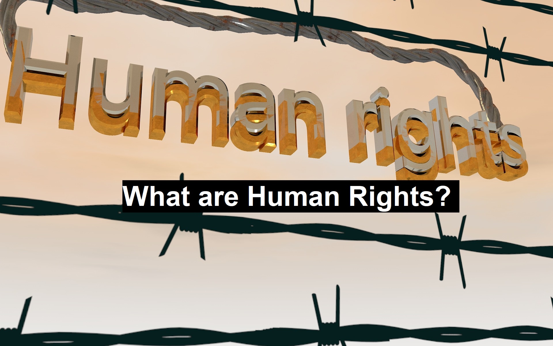 What are Human Rights?