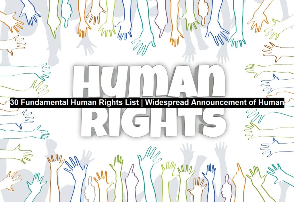 15+ Fundamental Human Rights List | Widespread Announcement of Human ...